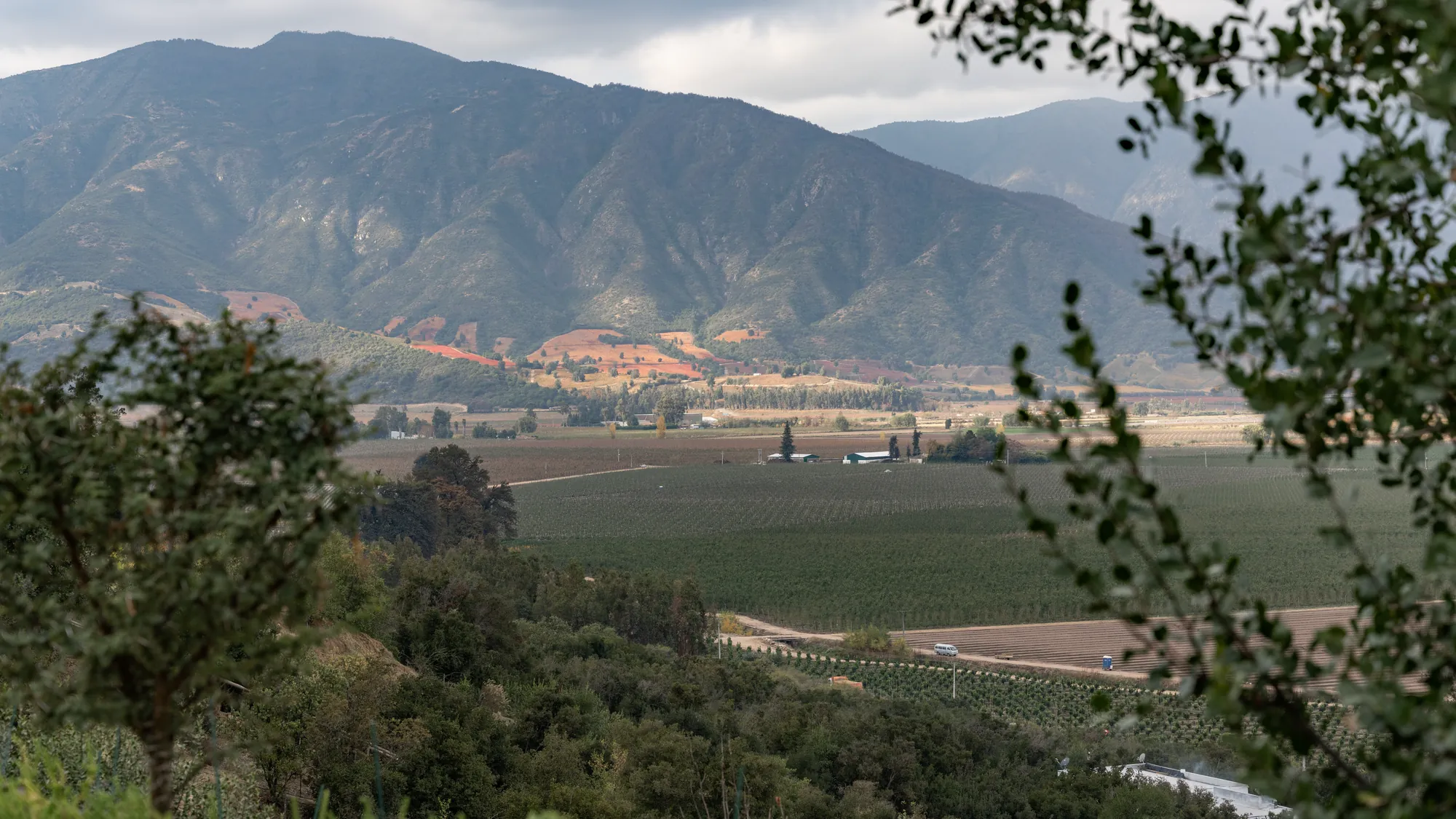 El Valle de Apalta y los cerros de Colchagua desde los palcos
